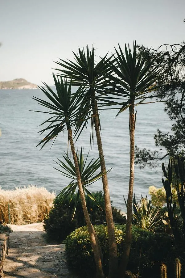 Hotel Le Provencal Renove En 2025 - Bord De Mer Йер