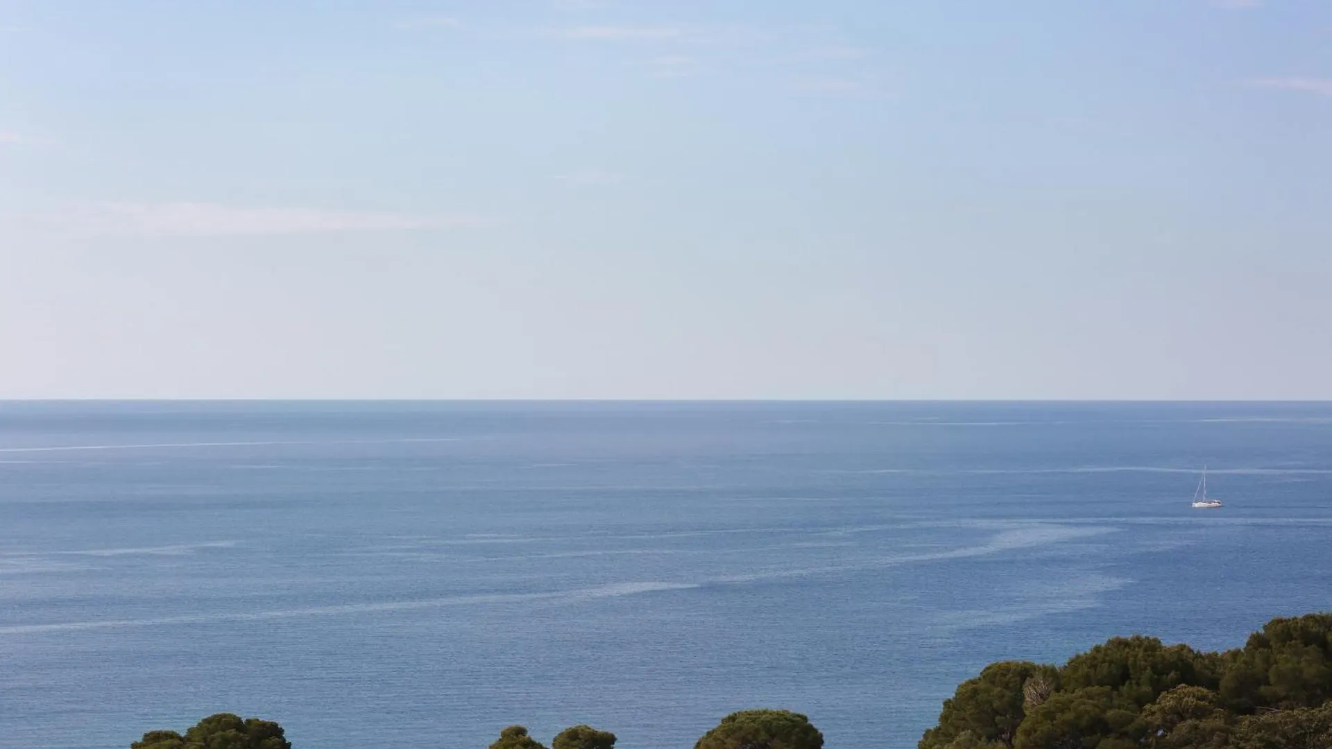 Hotel Le Provencal Renove En 2025 - Bord De Mer Hyères