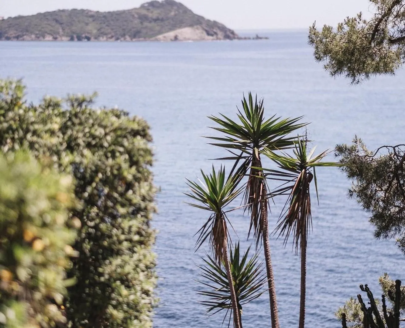 ***  Hotel Le Provencal Renove En 2025 - Bord De Mer Hyères Frankreich